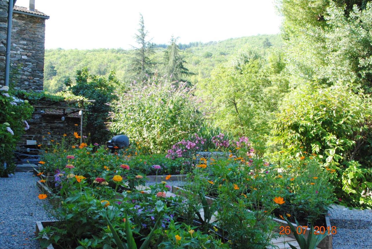 Alberguiere - Piscine chauffée - plancha - barbecue Sainte-Croix-Vallee-Francaise Extérieur photo
